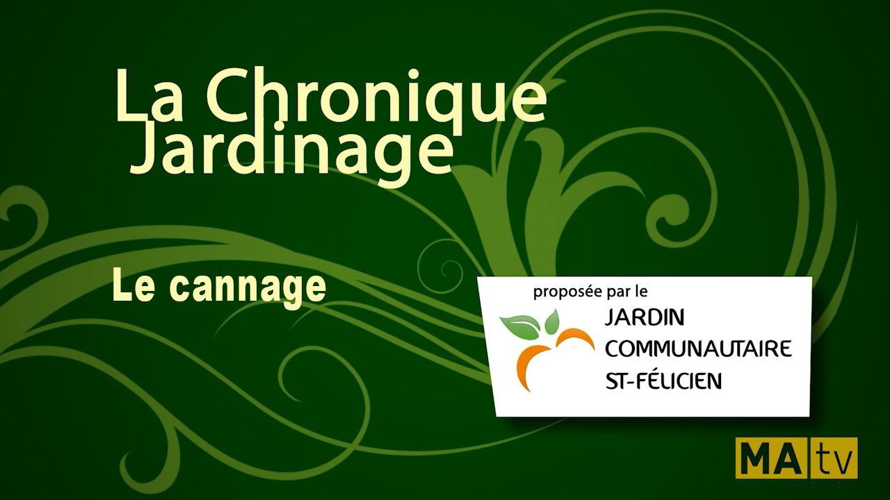 Le Cannage