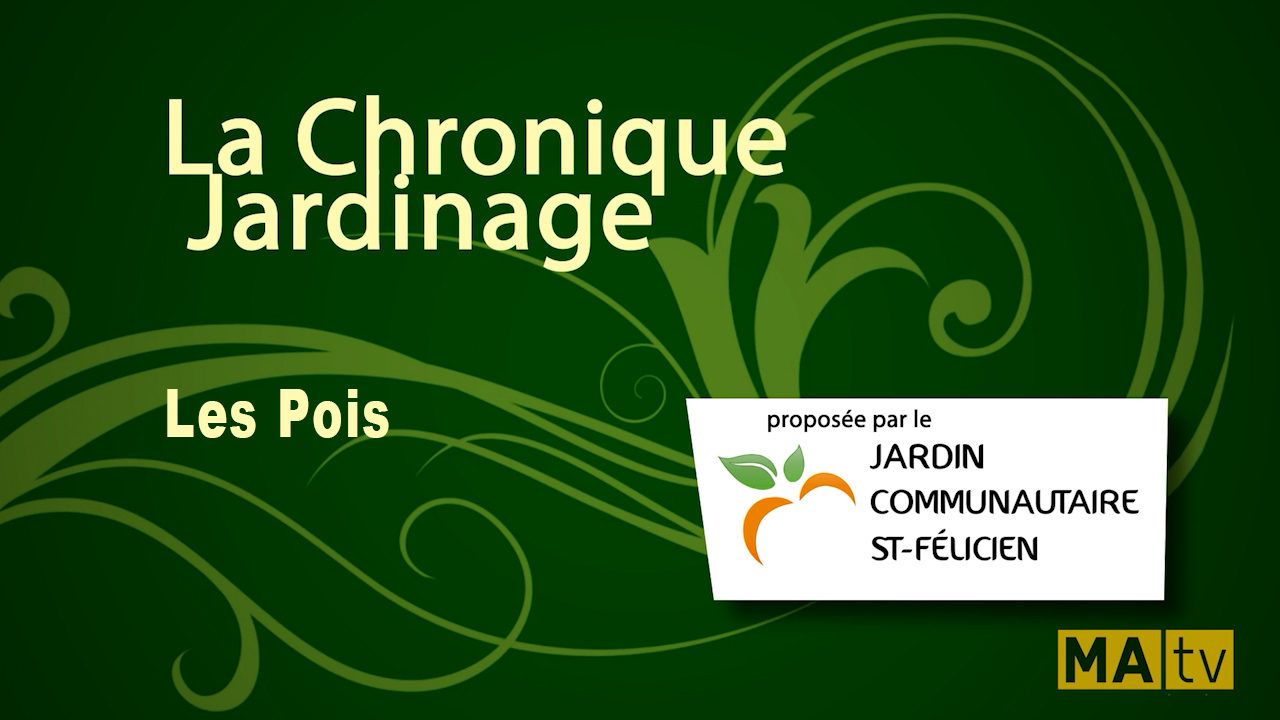 Les pois